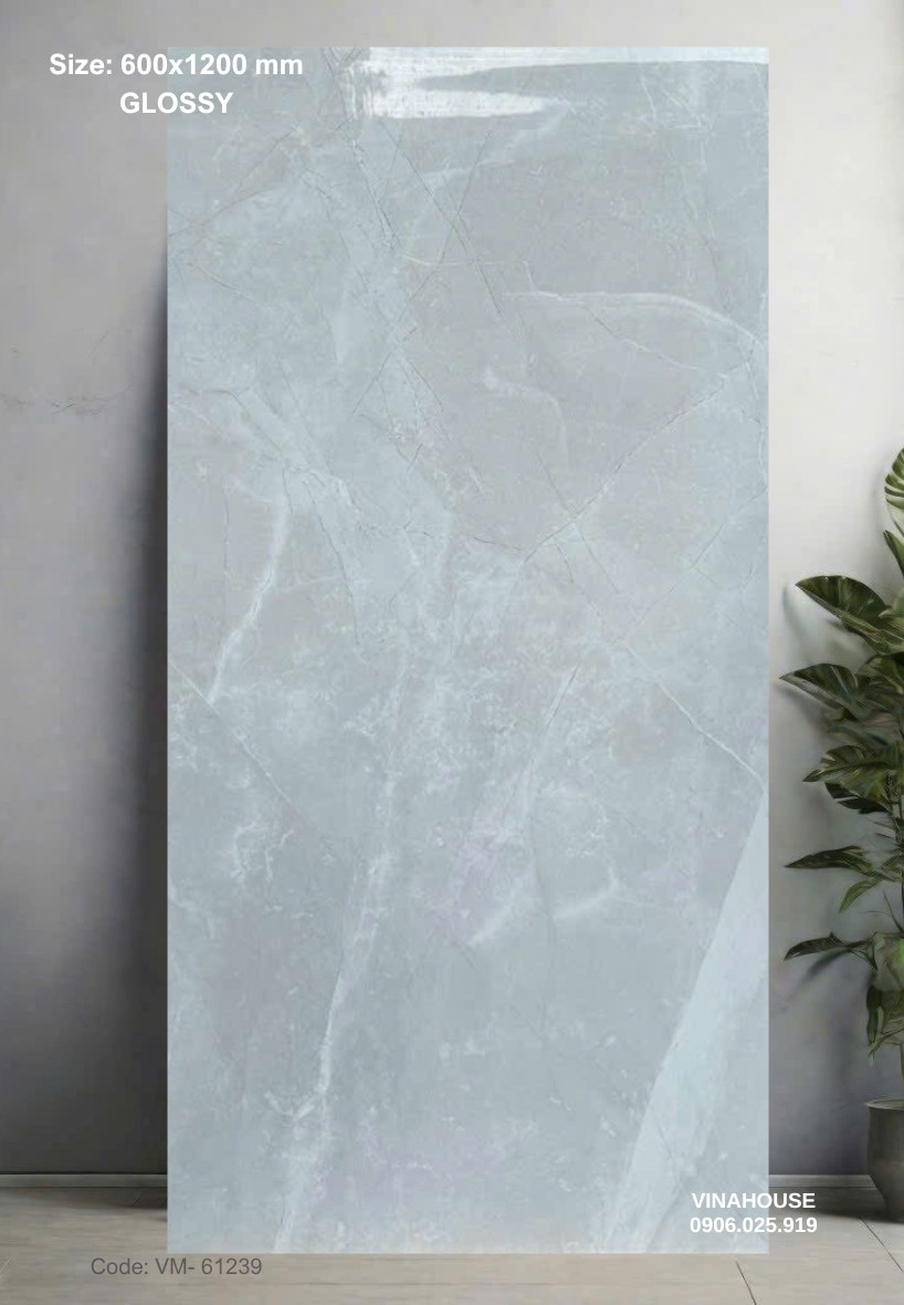 Gạch Lát Nền 60×120 Bóng Kính 61239