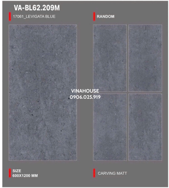 Gạch Lát Nền 60×120 Mờ VABL62209M