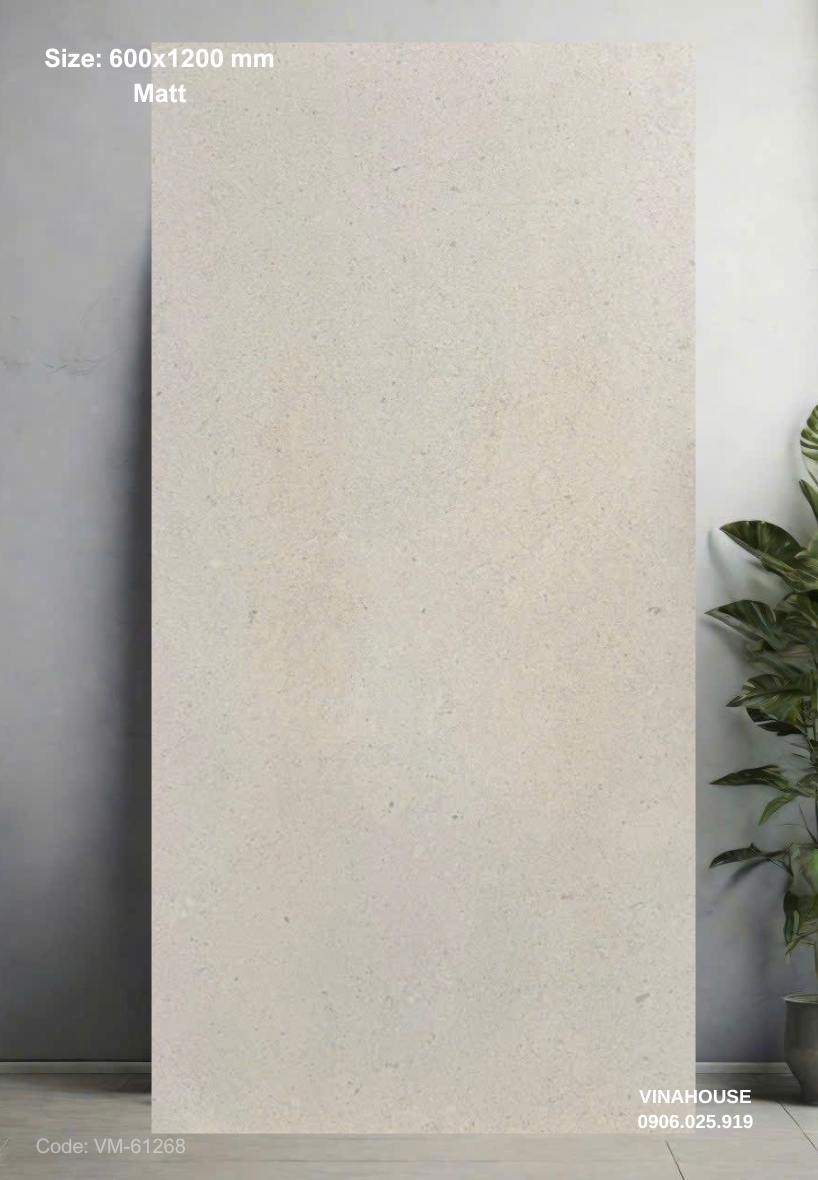 Gạch Lát Nền 60×120 đá mờ 61268