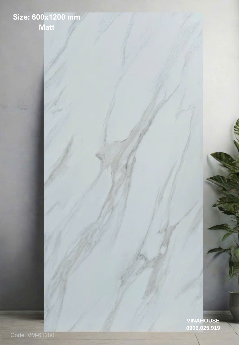 Gạch Lát Nền 60×120 đá mờ 61280