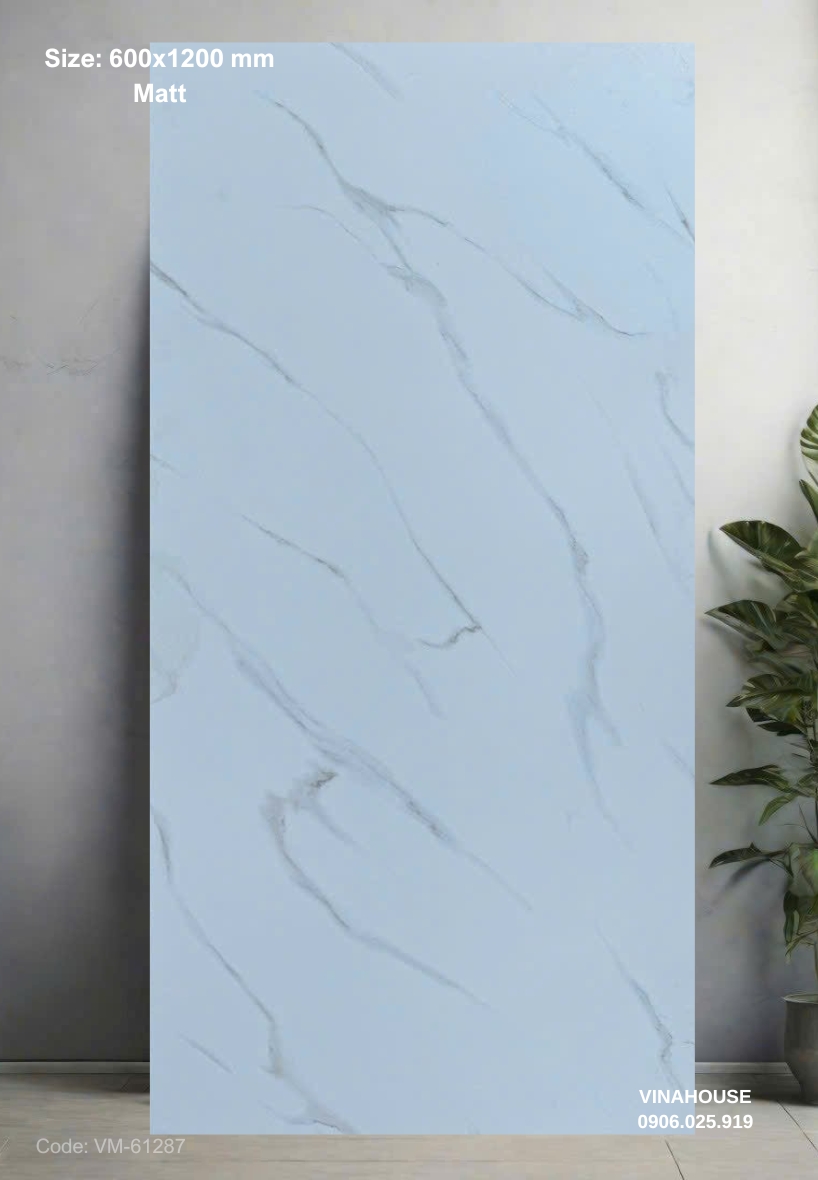 Gạch Lát Nền 60×120 đá mờ 61287