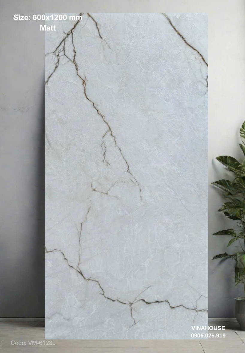 Gạch Lát Nền 60×120 đá mờ 61289