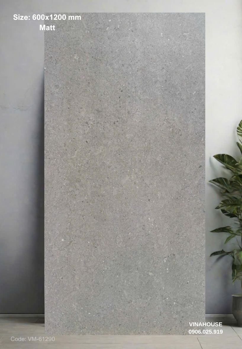 Gạch Lát Nền 60×120 đá mờ 61290