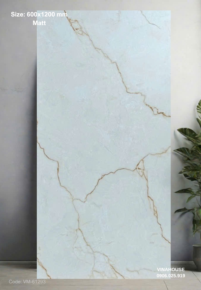 Gạch Lát Nền 60×120 đá mờ 61293