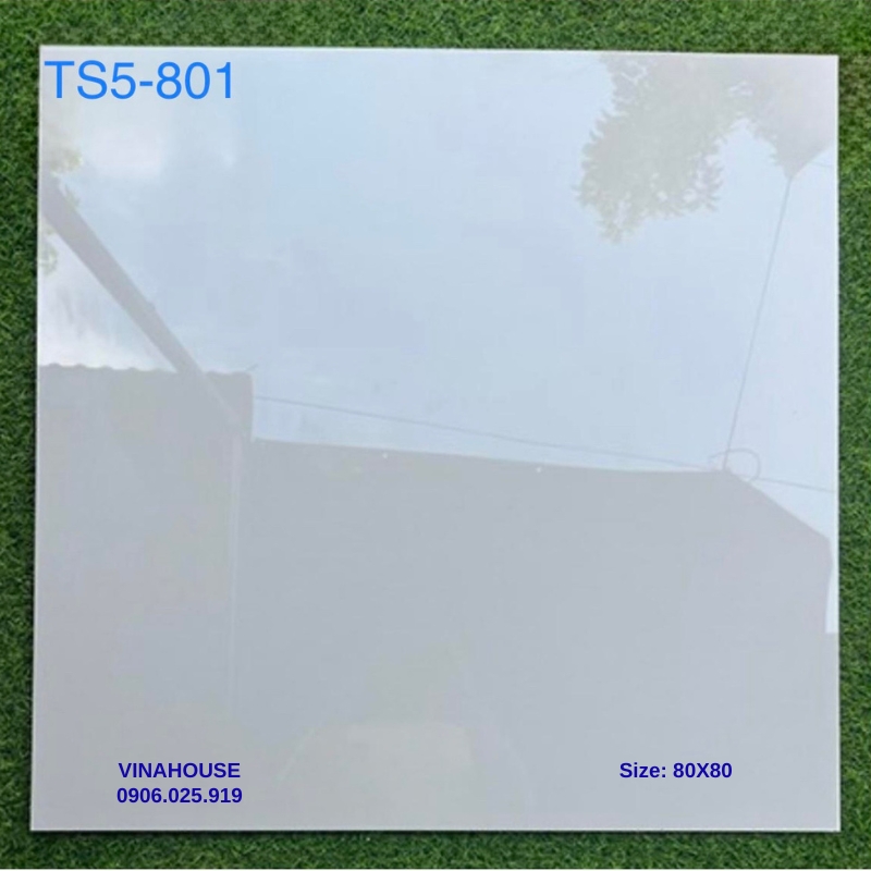 Gạch Lát Nền 80×80 TS5801