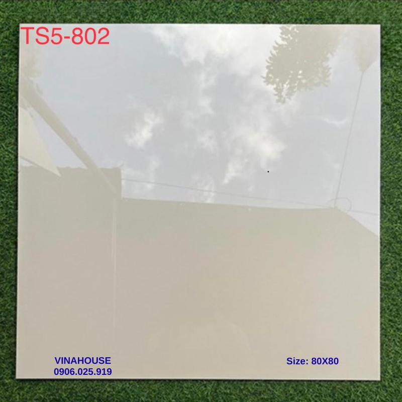 Gạch Lát Nền 80×80 TS5802