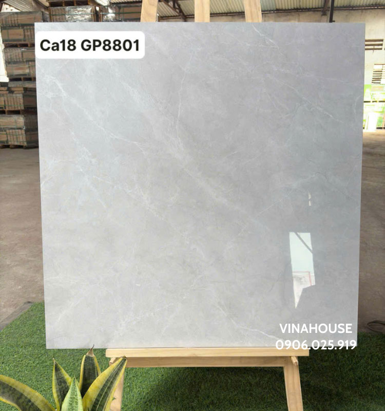Gạch lát nền 80×80 Viglacera Ca18-GP8801