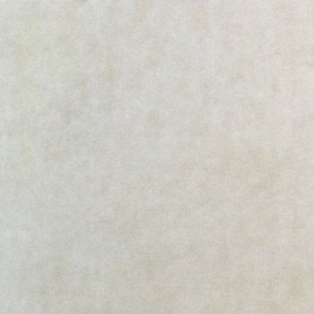 Gạch Lát Nền Bạch Mã 60×60 MSV6008