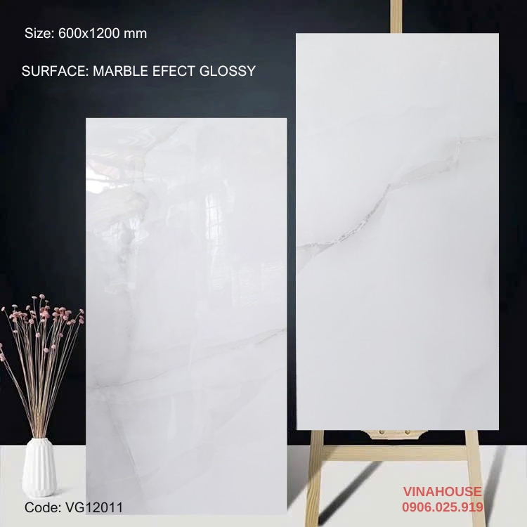 Gạch Lát Nền 60×120 Bóng Kính 12011