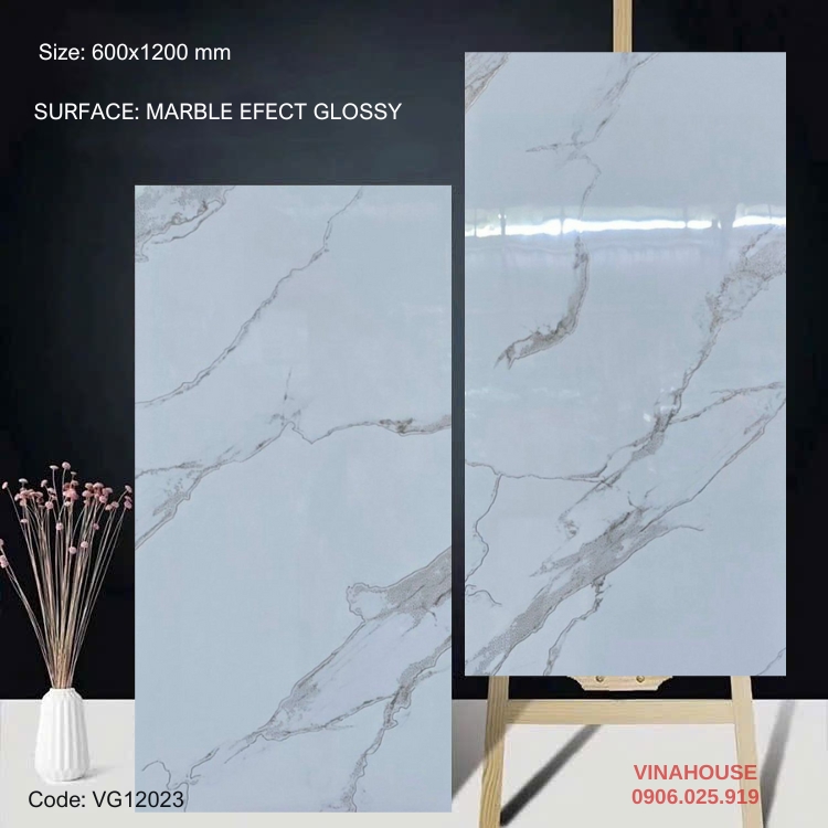 Gạch Lát Nền 60×120 Bóng Kính 12023
