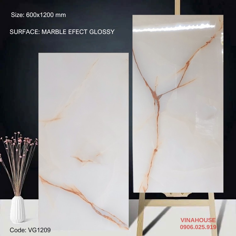 Gạch Lát Nền 60×120 Bóng Kính 1209