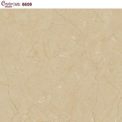Gạch Lát Nền 60×60 Catalan 6609