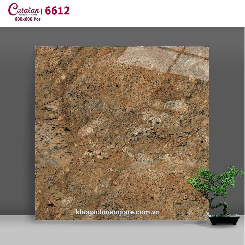 Gạch Lát Nền Catalan 60×60 6612