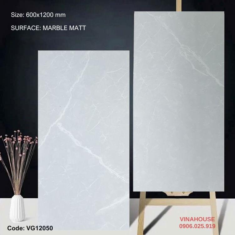 Gạch Lát Nền 60×120 đá mờ 12050