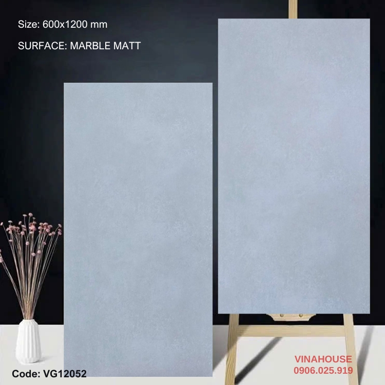 Gạch Lát Nền 60×120 đá mờ 12052