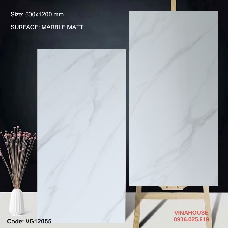 Gạch Lát Nền 60×120 đá mờ 12055
