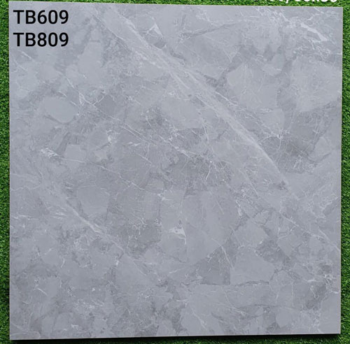 Gạch Lát Nền Viglacera Granite Giả Đá TB809