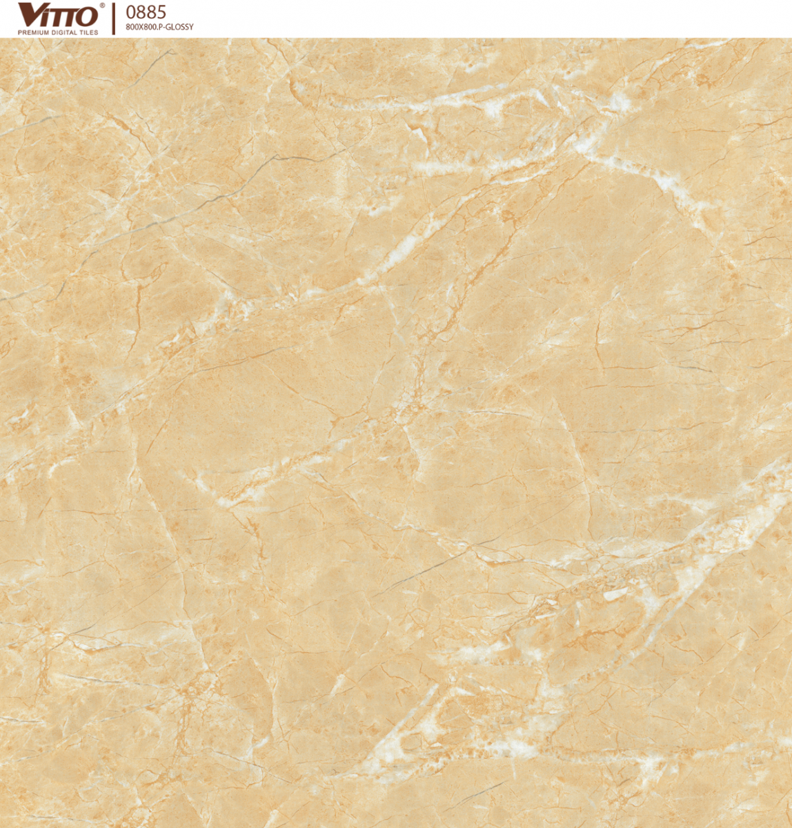 Gạch Lát Nền Vitto 0885