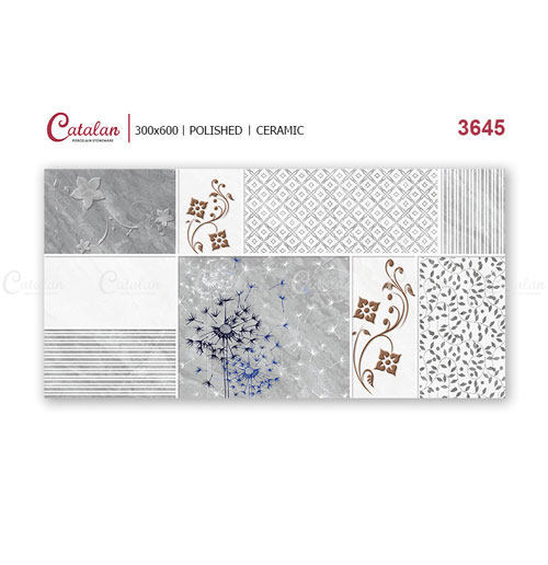 Gạch Ốp Tường Catalan 30X60 3643