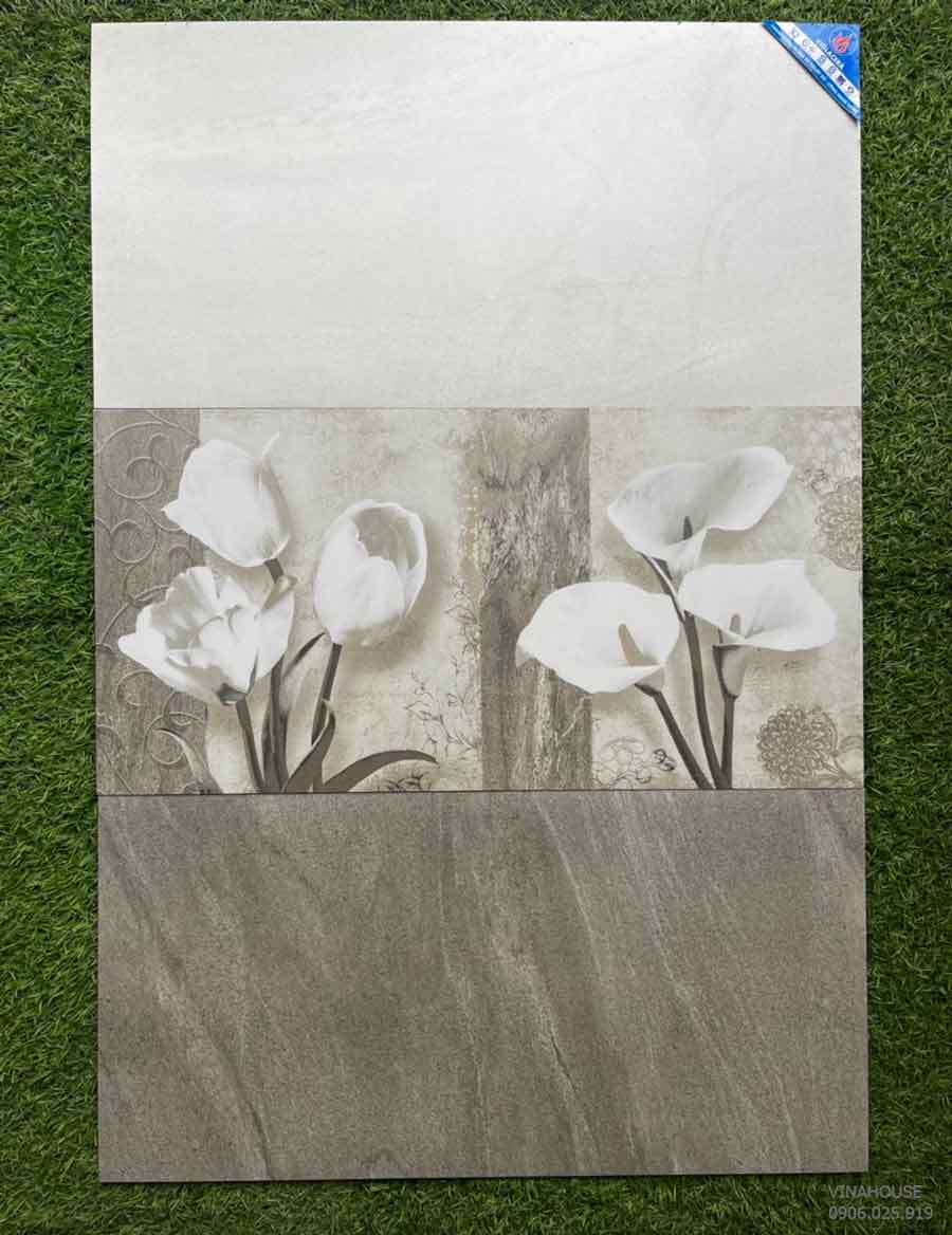 Gạch ốp tường Viglacera 30×60 BS3641