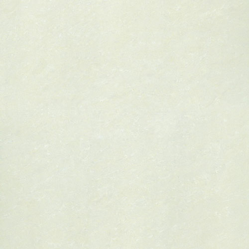 Gạch Taicera P67703N