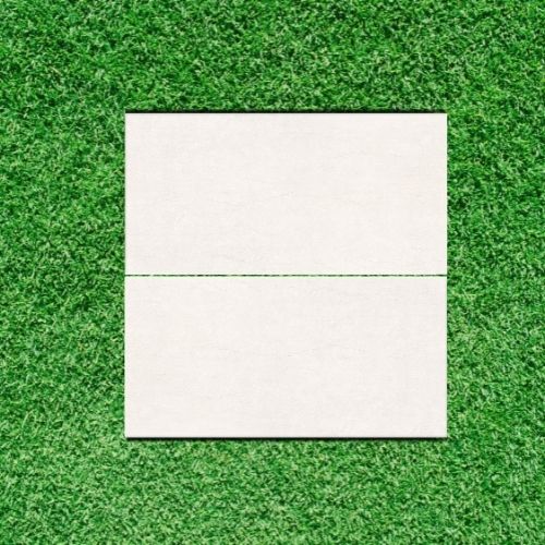 Gạch Viglacera 30×60 BS3611