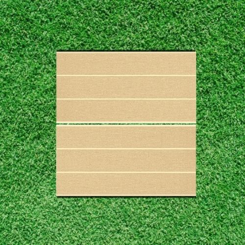Gạch Viglacera 30×60 f3607