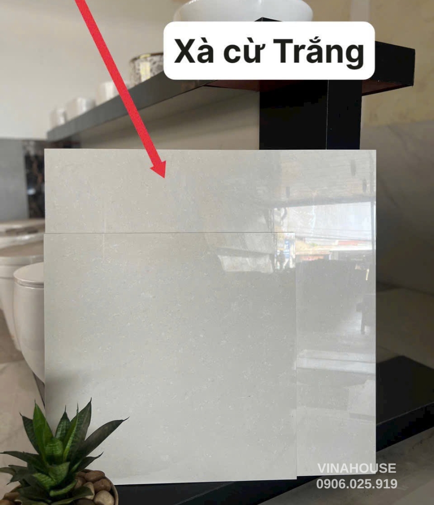 Gạch lát nền xà cừ trắng 60×60