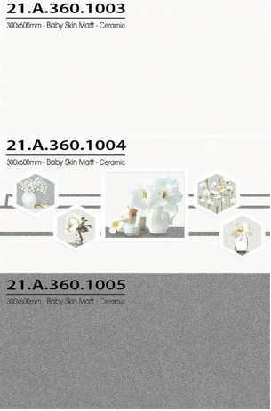 Gạch ốp lát Á Mỹ 30×60 mã 1003-1004-1005