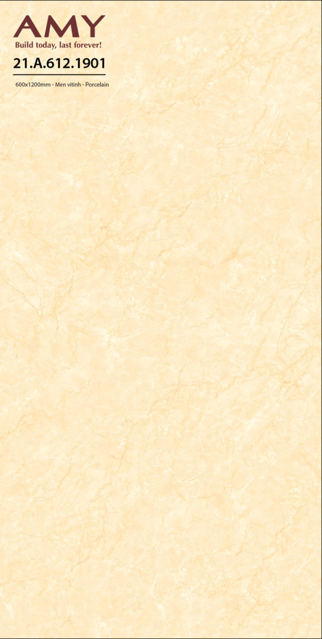Gạch ốp lát 60×120 Á Mỹ mã AMY 1901