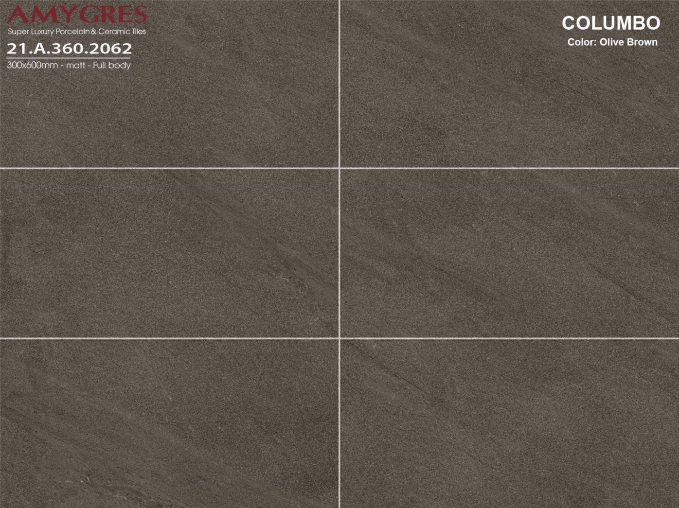 Gạch ốp lát Á Mỹ 30×60 mã 2062