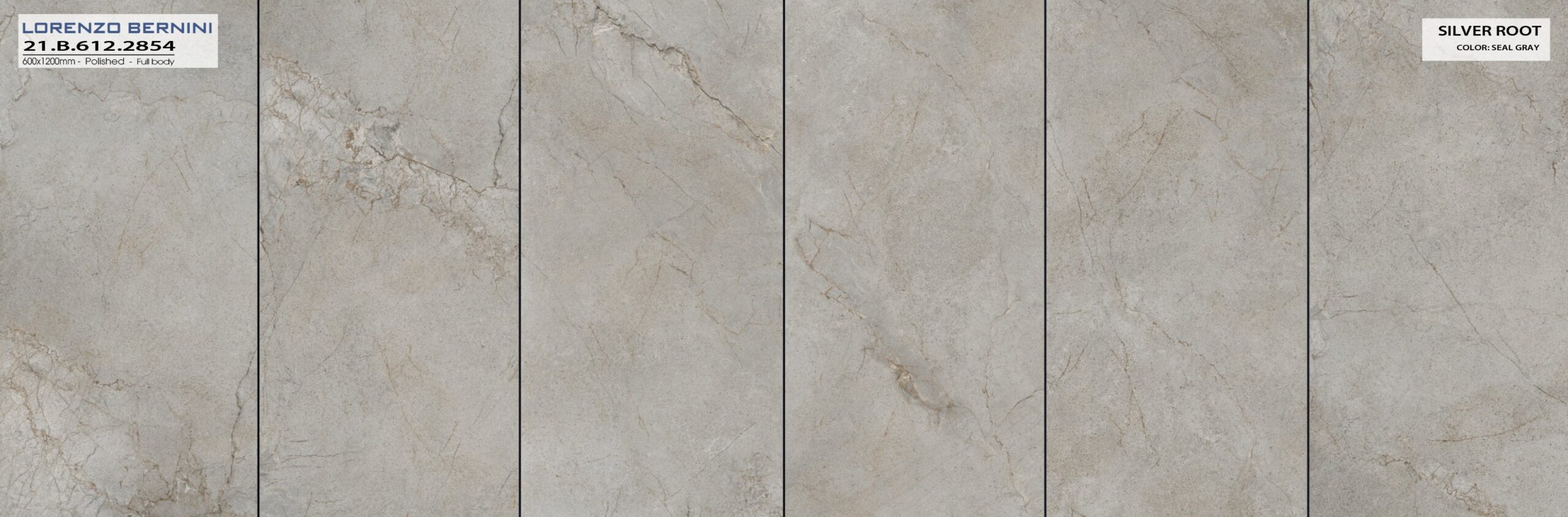 Gạch ốp lát 60×120 Á Mỹ mã 2854