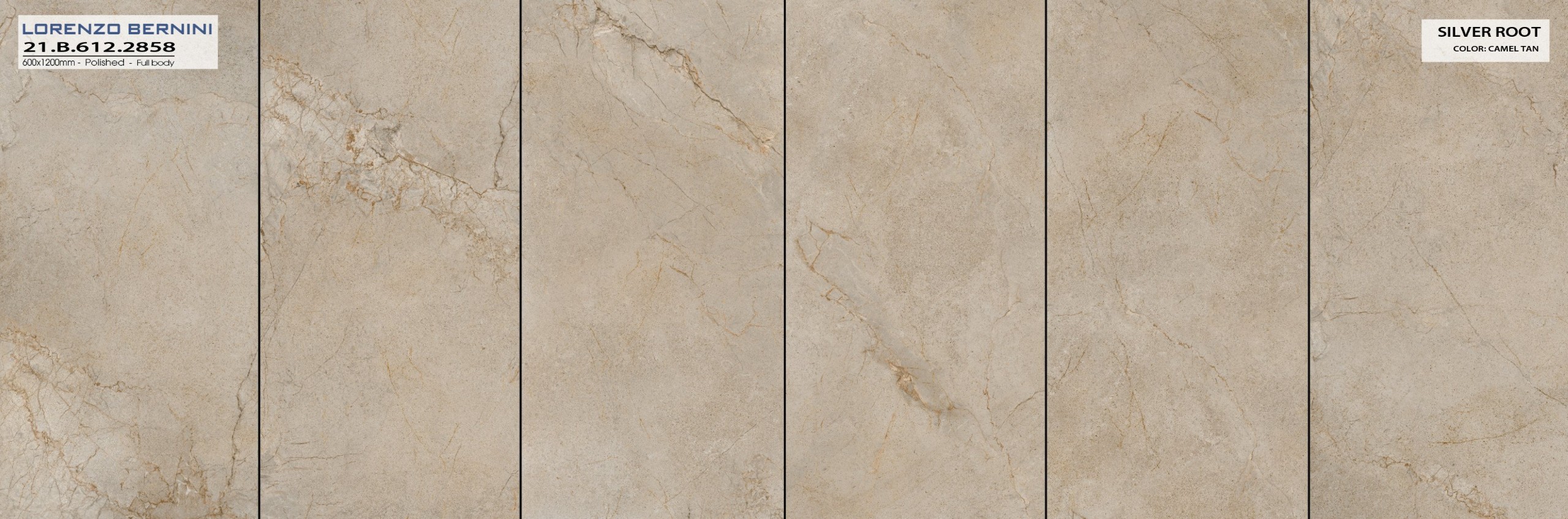 Gạch ốp lát AMY 60×120 mã 2858