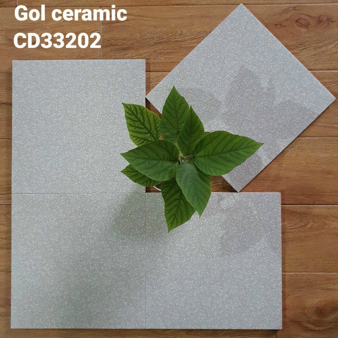 gạch bông men 30×30 xương granit mã 33202