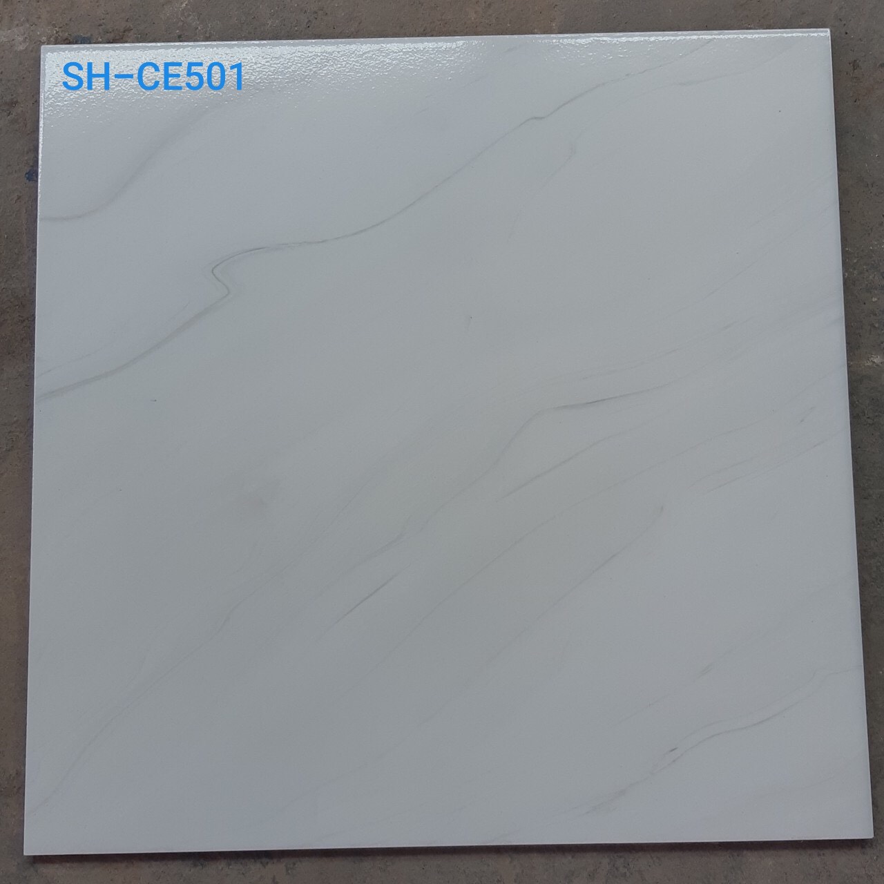 Gạch lát nền Viglacera 50×50 SH-CE-501