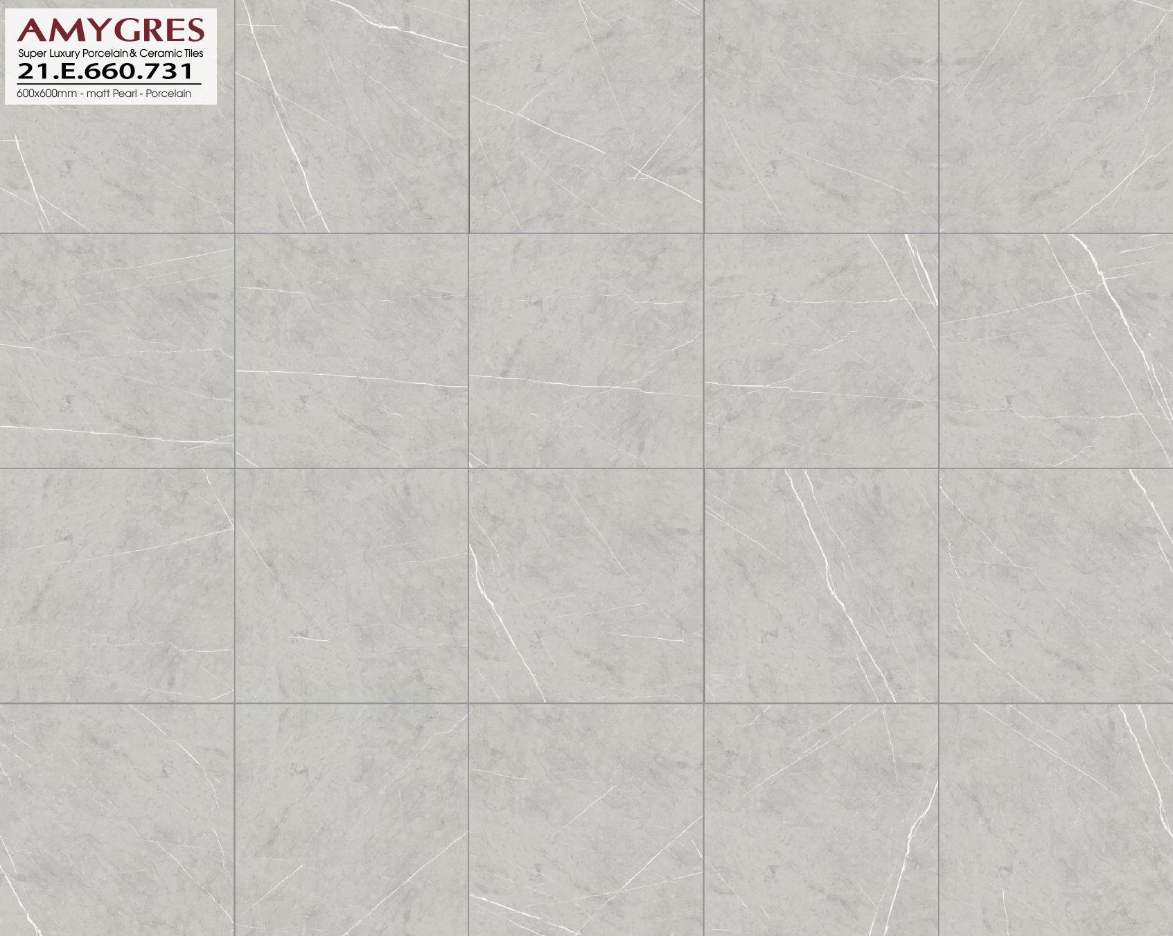 Gạch Á Mỹ 60×60 mã 731