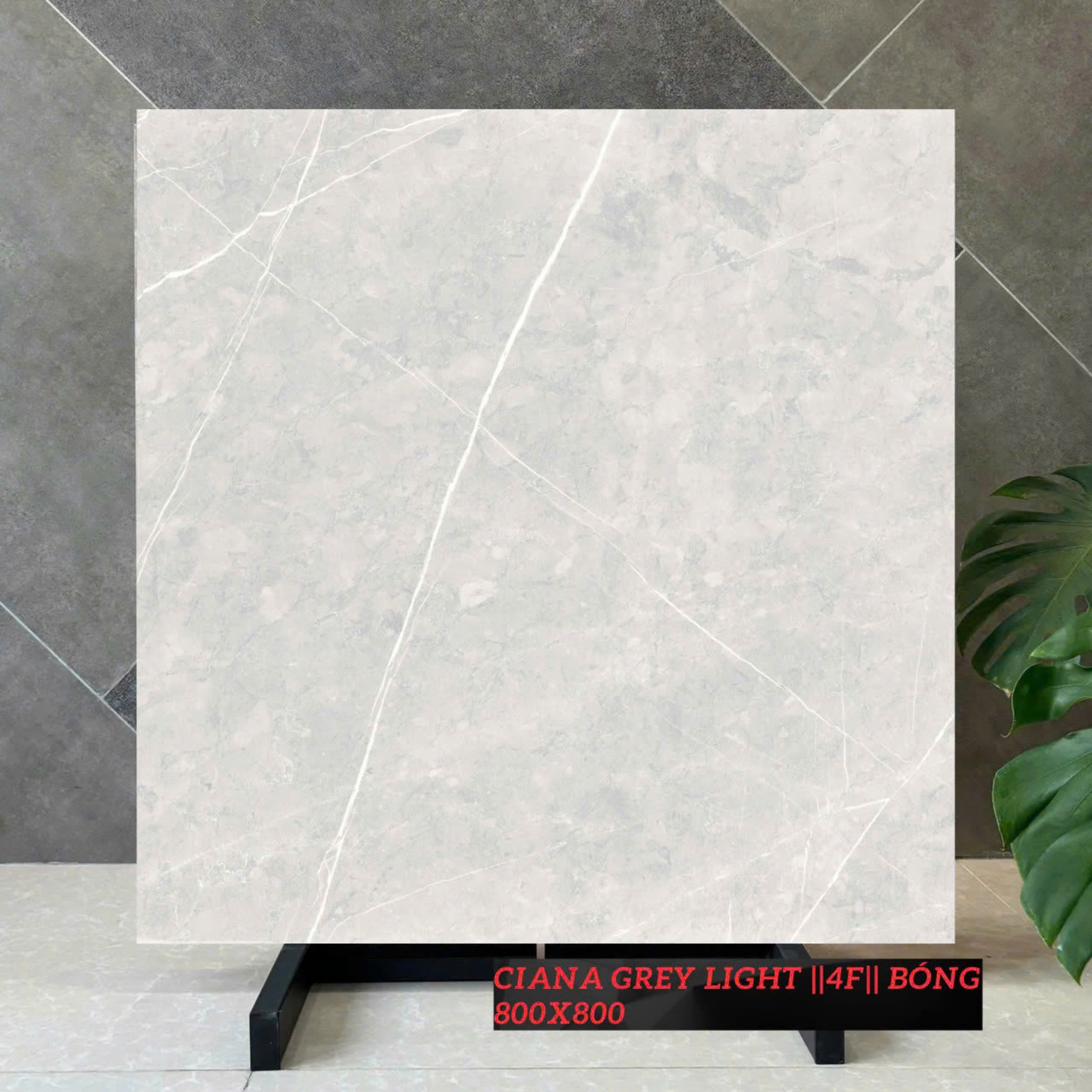 Gạch Kích Thước 80×80 Men Bóng Mã Ciana Grey Light