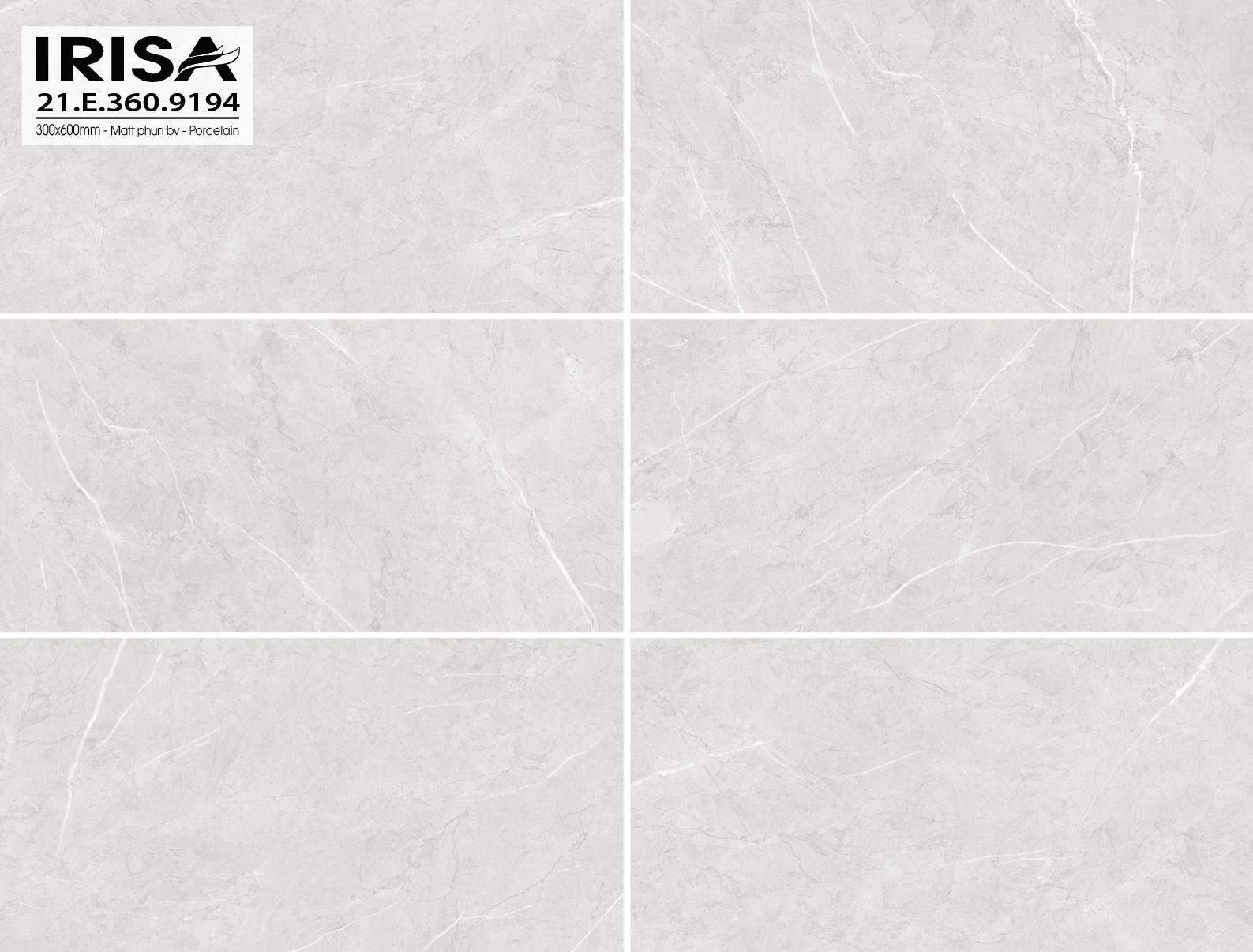 Gạch Á Mỹ 30×60 mã 9194
