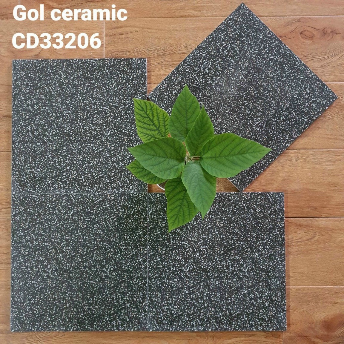 gạch bông men 30×30 xương granit mã 33206