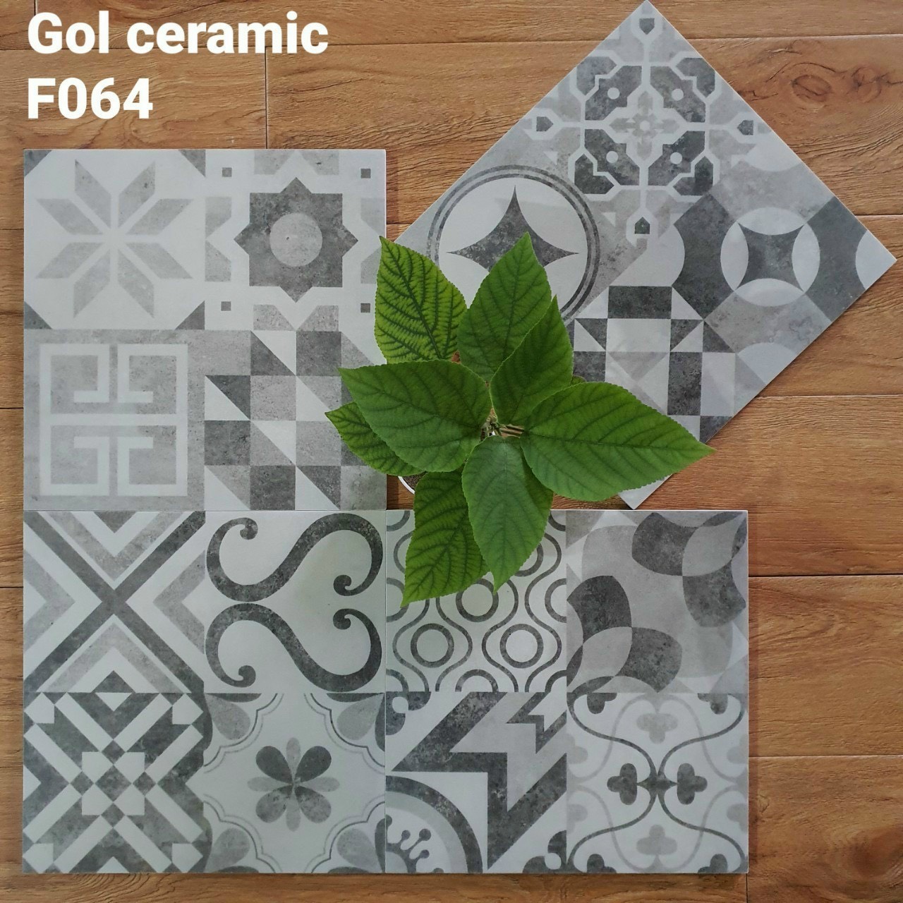 gạch bông men 30×30 xương granit mã F064
