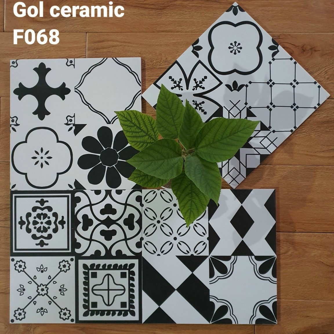 gạch bông men 30×30 xương granit mã F068