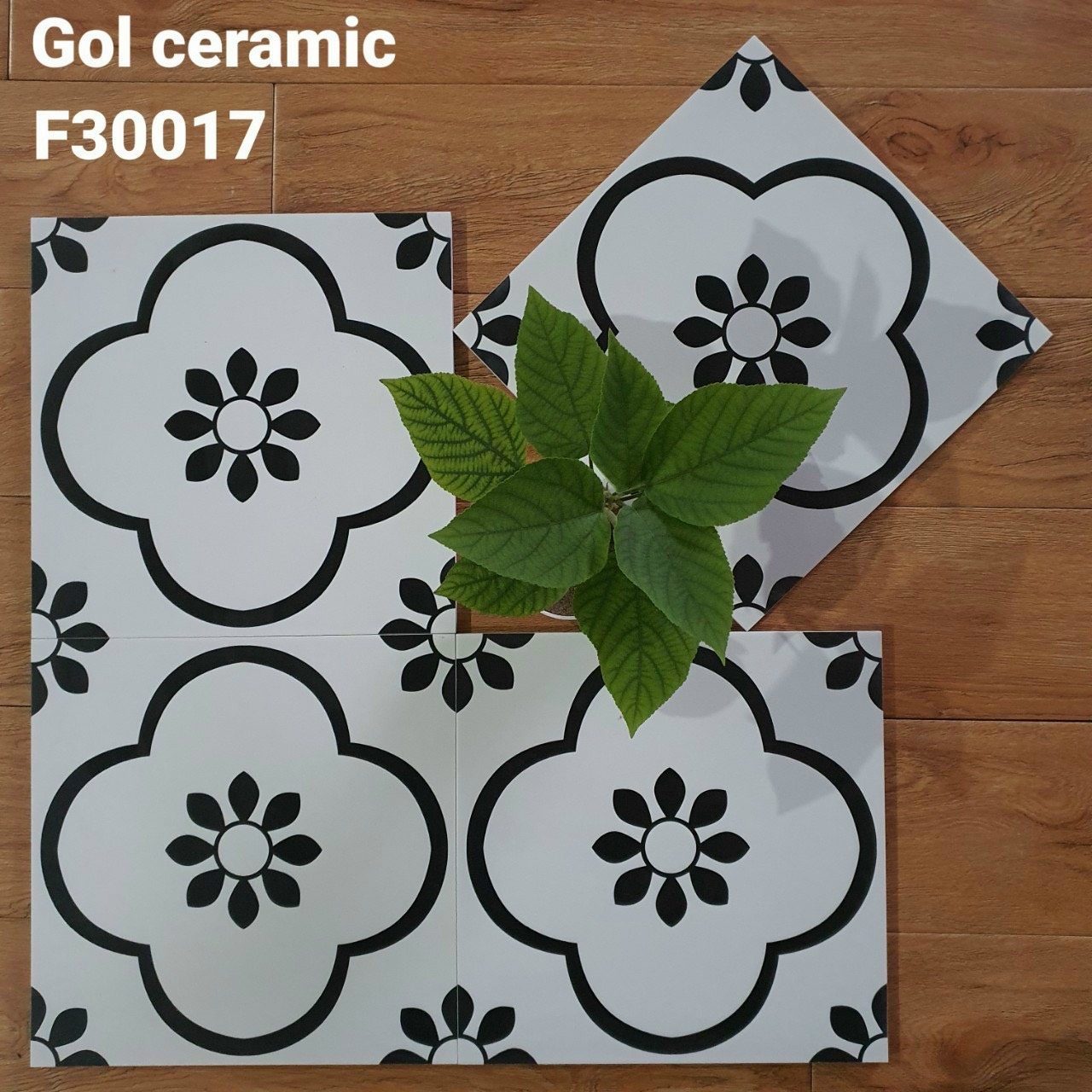 gạch bông men 30×30 xương granit mã 30017