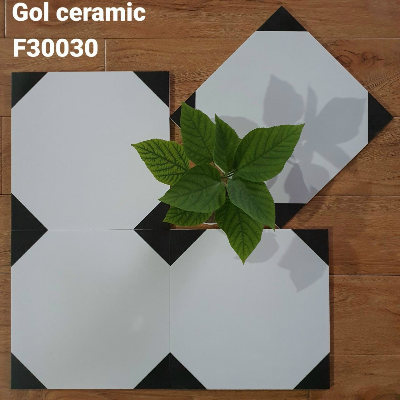 gạch bông men 30×30 xương granit mã 30030