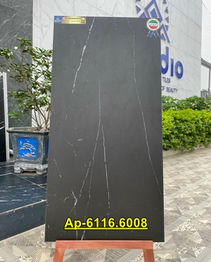 Gạch Lát Nền 60x120cm Apodio Ap6116.6008