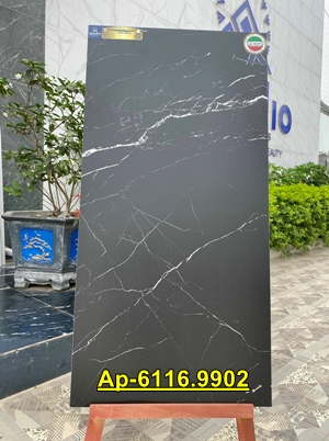 Gạch Lát Nền 60x120cm Apodio Ap6116.9902