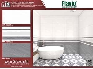 Gạch Ốp Ceramic 40x80mm Mã FB4801N- FB4801D-FB4801