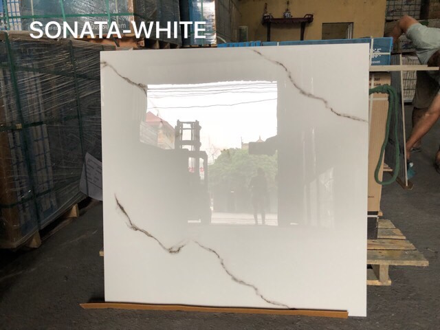 Gạch Ấn Độ 80×80 mã Sonata-white