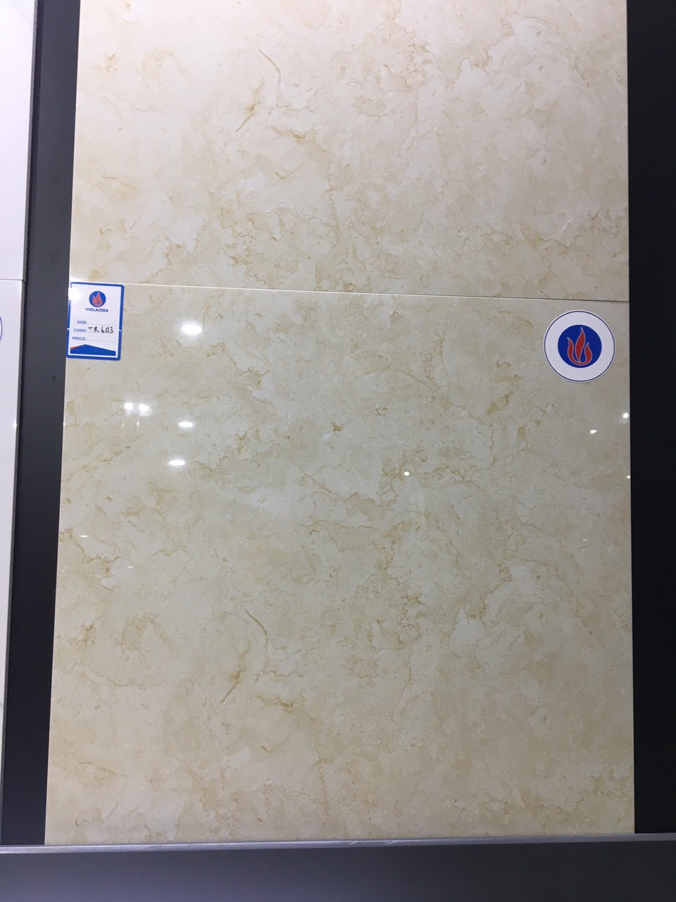 Gạch lát nền Viglacera 60×60 mã TP603