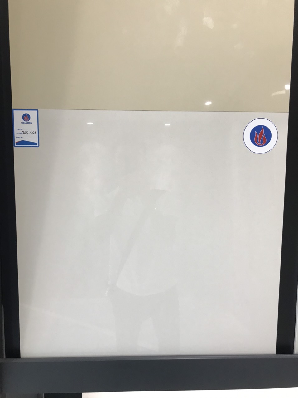 Gạch lát nền Viglacera 60×60 mã 601