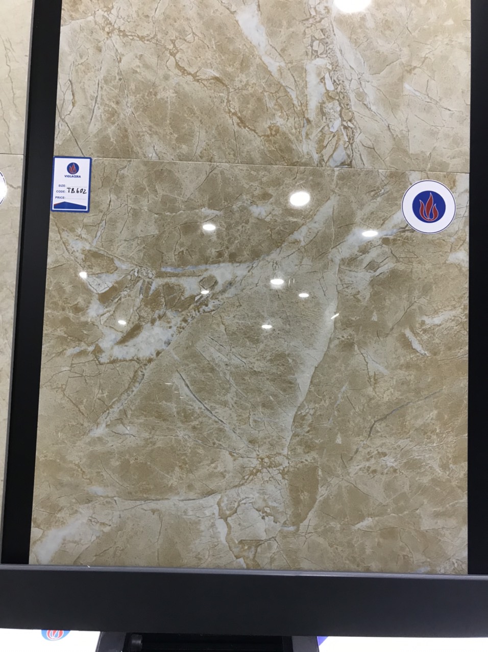 Gạch lát nền Viglacera 60×60 mã TB602